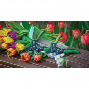 Draper Expert Anvil Pattern Secateurs, 200mm