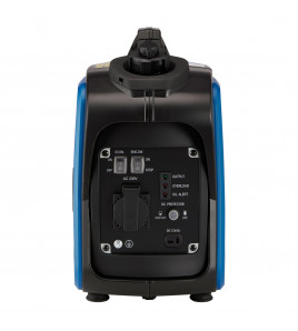 Petrol Inverter Generator, 1000W