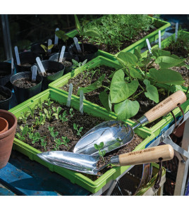 Draper Heritage Stainless Steel Hand Potting Scoop with Ash Handle